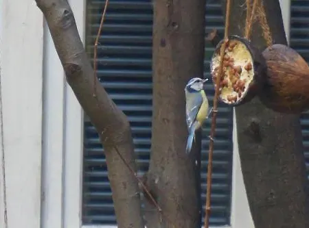 ベッド・アンド・ブレックファスト ラ メゾン ルージュ パリ