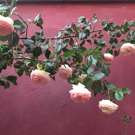 Bed & Breakfast La Maison Rouge