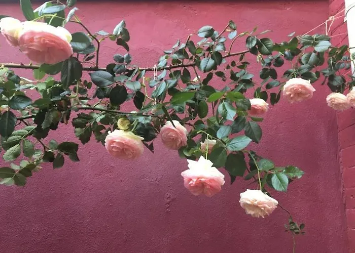 Bed & Breakfast La Maison Rouge